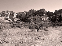 DSC1232 Sepia Crop